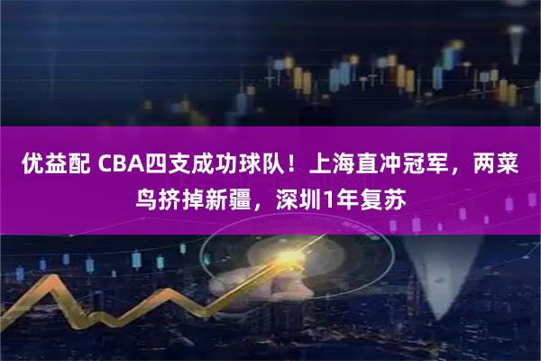 优益配 CBA四支成功球队！上海直冲冠军，两菜鸟挤掉新疆，深圳1年复苏