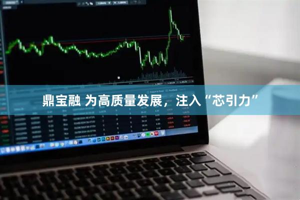 鼎宝融 为高质量发展，注入“芯引力”